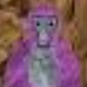 Profile image of Daisy 09