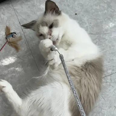 Profile image of 주들