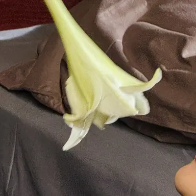 Profile image of 정재현