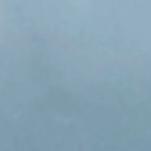 민