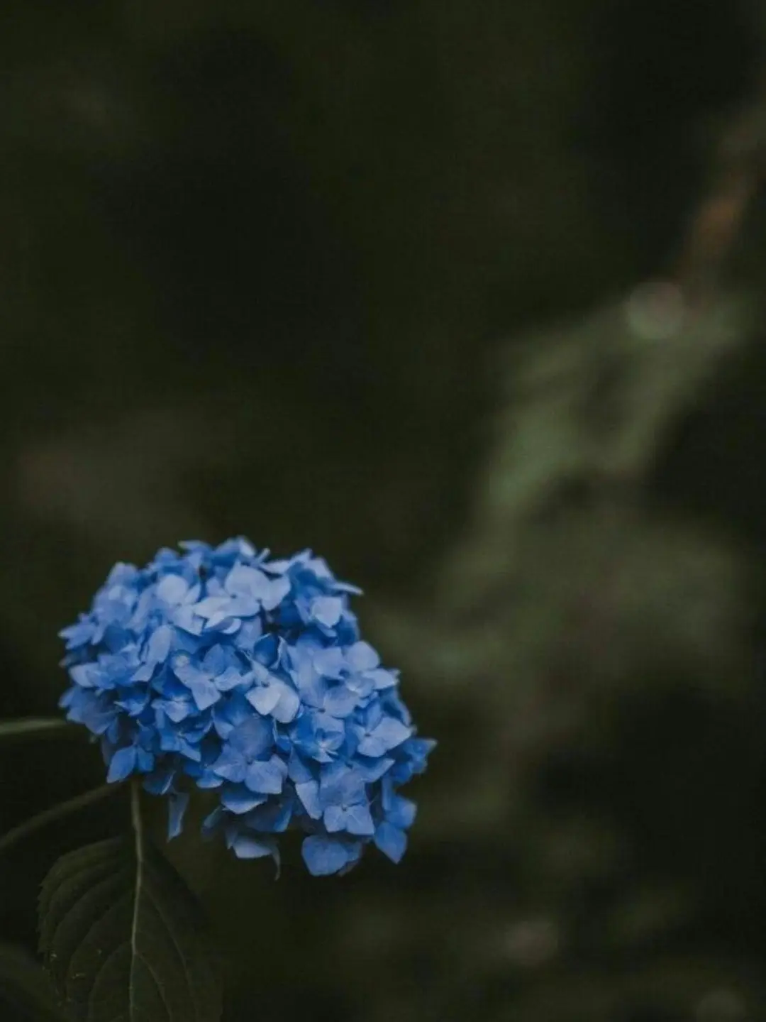 Silver_Bead의 《 名前を呼べなかった街. 》