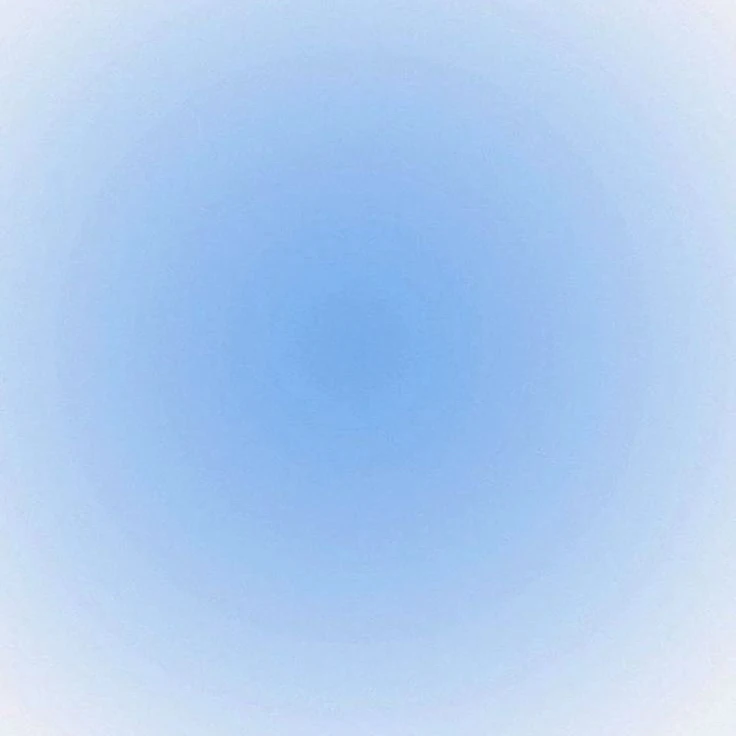 生徒会長