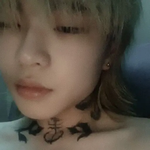 200l100의 애쉬 아일랜드