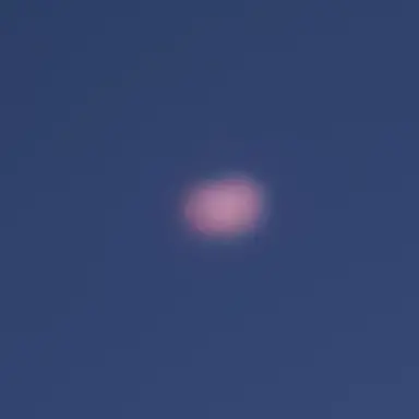 Profile image of 서라더