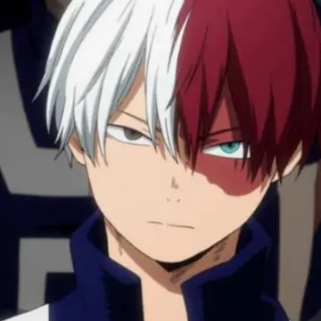 Profile image of Shoto todoroki