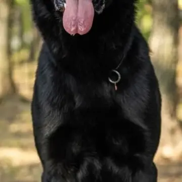Profile image of Cody