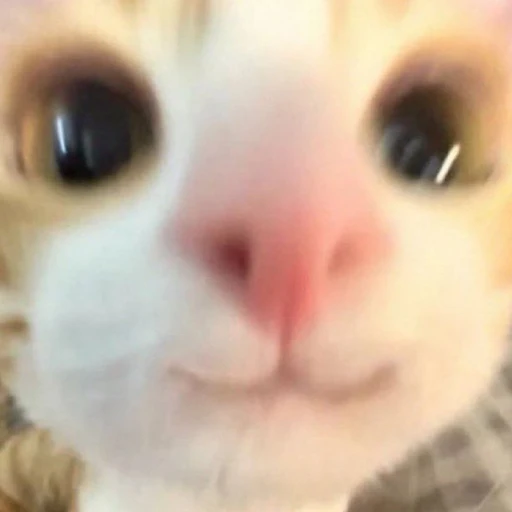 여생
