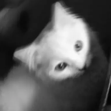 Profile image of Sangwon