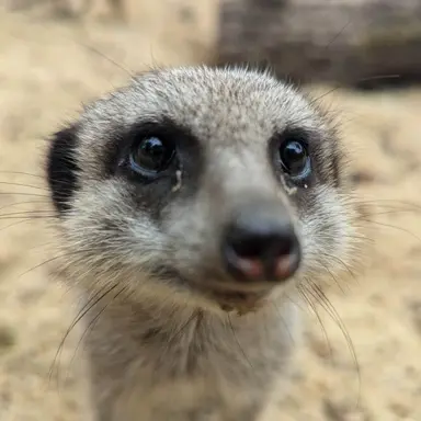 Profile image of 김나경