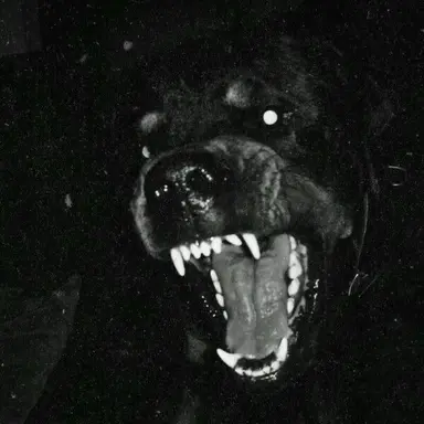 Profile image of Vamp