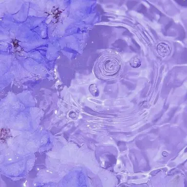 Profile image of 멜로우