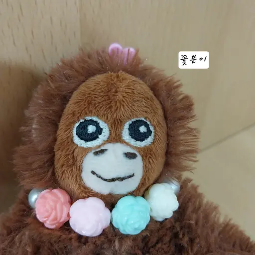 PickyOrgan7254의 고숭이 (꽃분이)