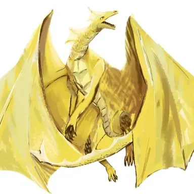 Profile image of 노아