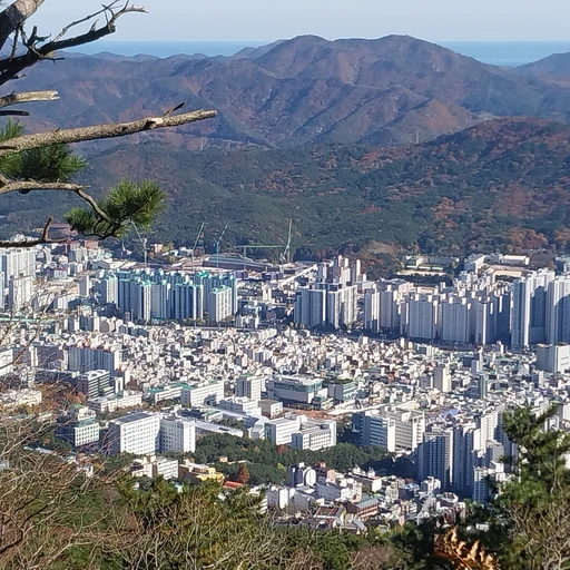 호석