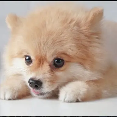 Profile image of 나와사 오키다바