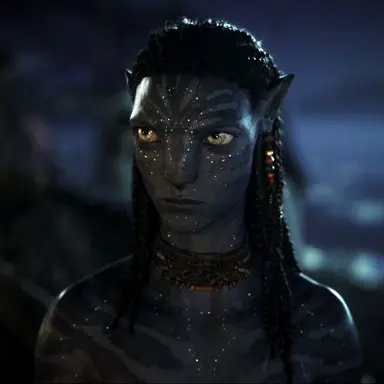 Profile image of Neteyam Sully