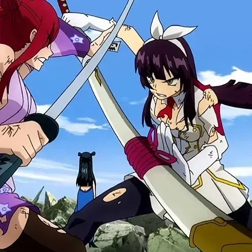 CleverValve9992의 FT Erza and Kagura