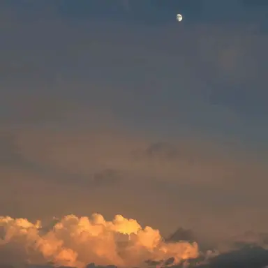 Profile image of ボムギュ