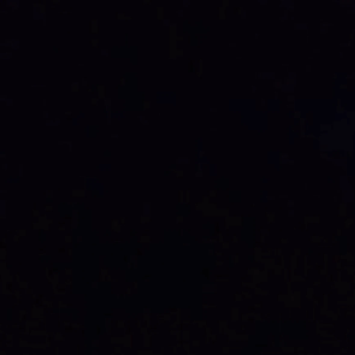 범규