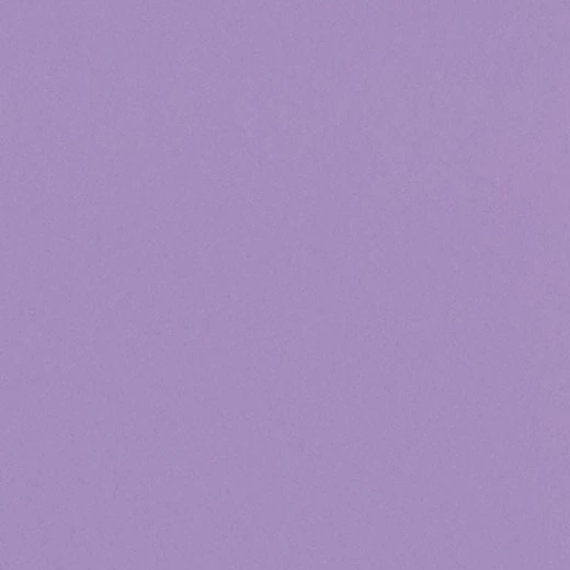 유하은