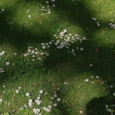 Profile image of 예엥