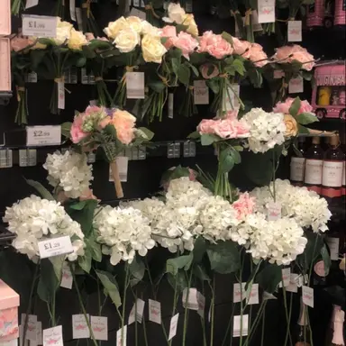 Profile image of 선하