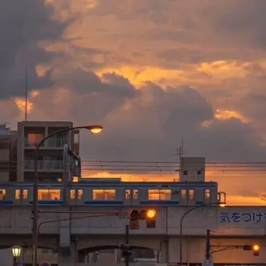 Profile image of 코마