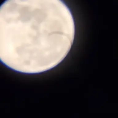 Profile image of 徳川家康