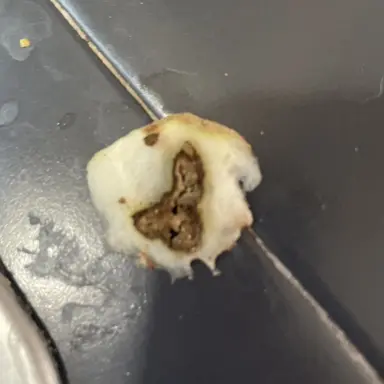 Profile image of Maren