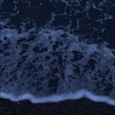 Profile image of 파이브