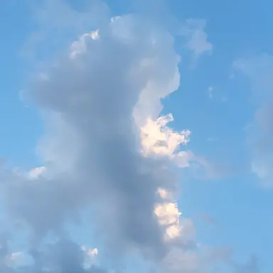 Profile image of 잭