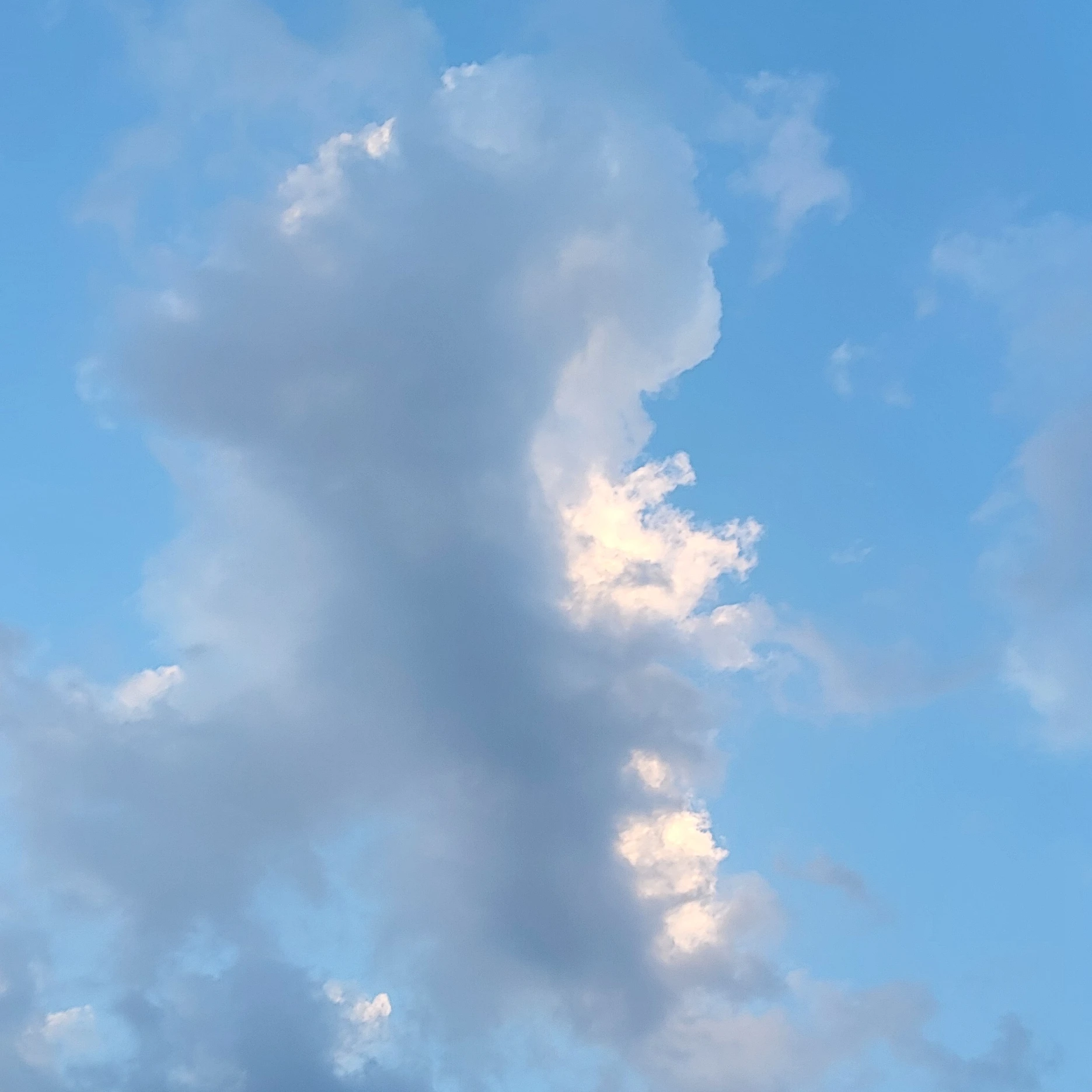 잭