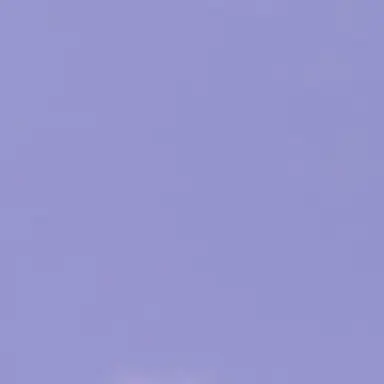 Profile image of らぴす