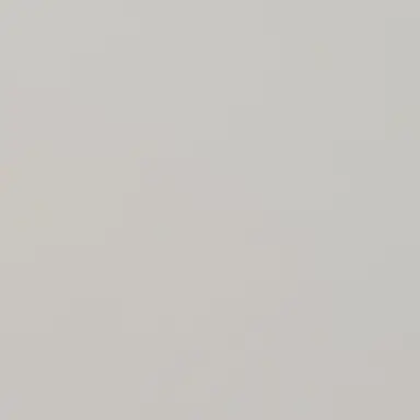 Profile image of 김리안