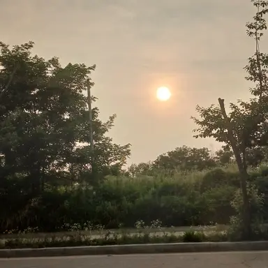 Profile image of 공룡