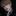 박지훈