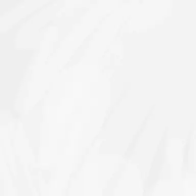 Profile image of 本田菊