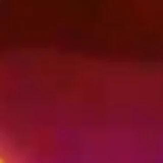 황근출