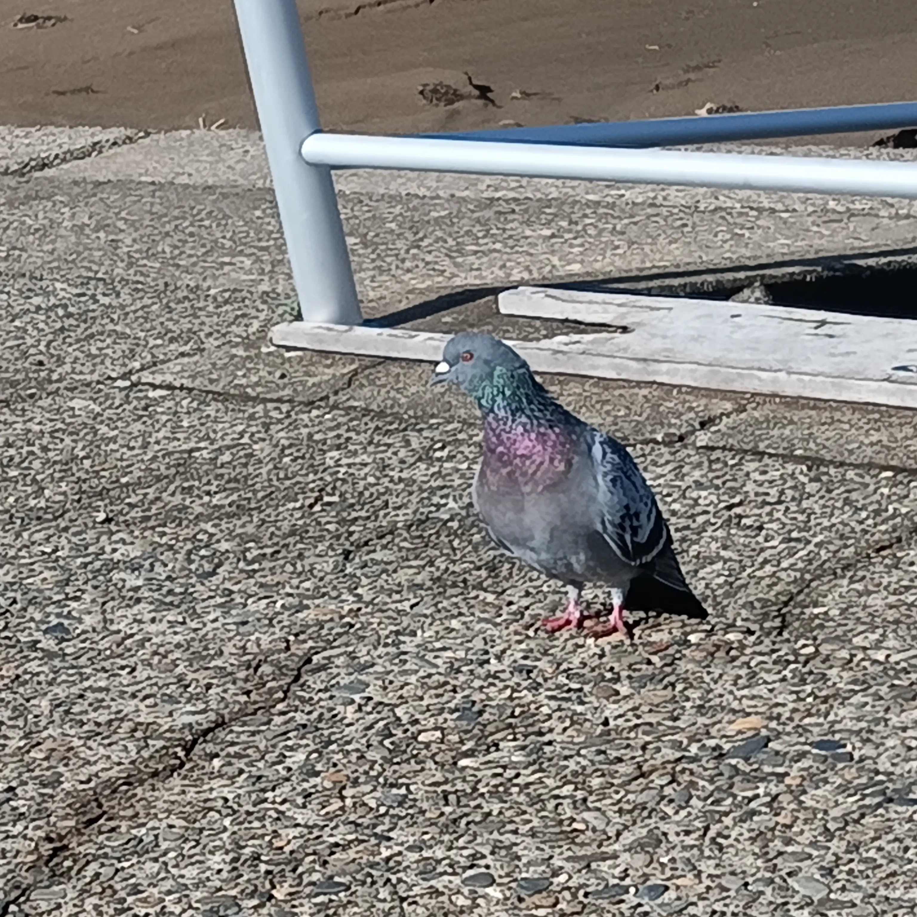 SuperbScrew8331의 さまよい幽霊