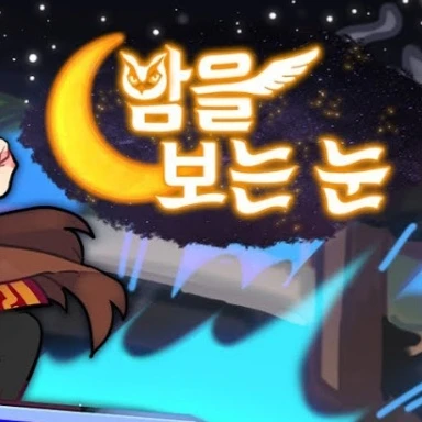 밤을 보는 눈