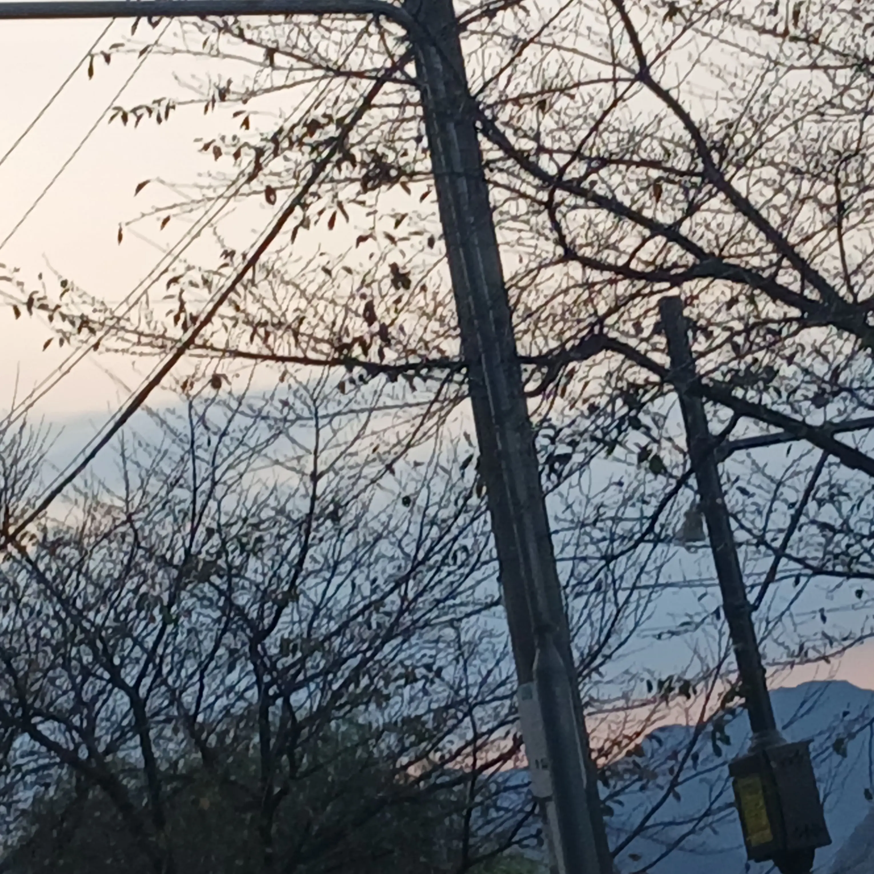 RapierQueen2546의 ㅎㅅㄱㅎ