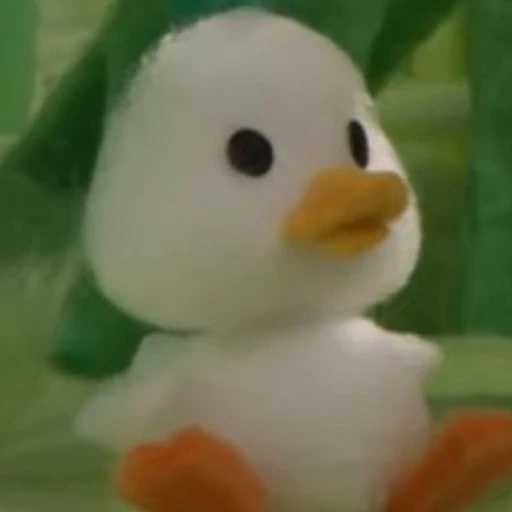 송깜지