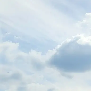 Profile image of 멜로우