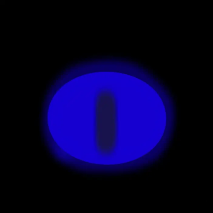QuaintWall8534의 A-Blue eyes