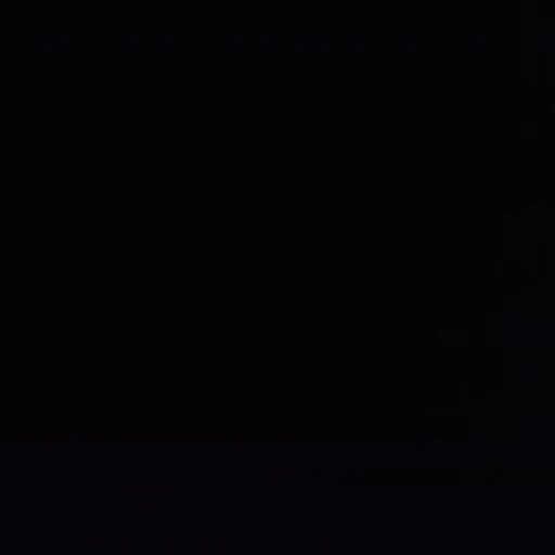 윤정핝