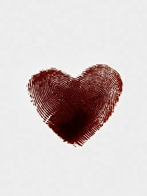 Redln의 ㅤ
