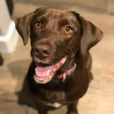 Profile image of Kayla