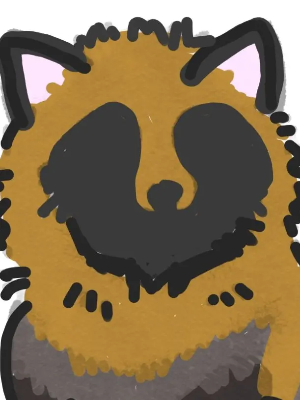 CoarseFrame4742의 ぽってり狸とふわふわ狐