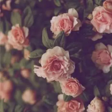 Profile image of ゆあん