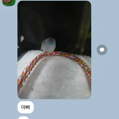 Profile image of 뜨송이